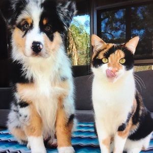 Meet your Posher, Annie